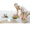 Soehnle Air aromatizator Valencia