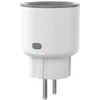 Sonoff S60ZBTPF ZigBee išmanusis lizdas (2 vnt. pakuotėje)