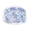 Springos 20 LED Mikrolempučių Girlianda, Šalta Balta + Mėlyna, 1,9 m
