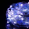 Springos 20 LED Mikrolempučių Girlianda, Šalta Balta + Mėlyna, 1,9 m