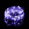 Springos 20 LED Mikrolempučių Girlianda, Šalta Balta + Mėlyna, 1,9 m