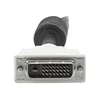 Kabelis StarTech DVI- D - DVI- D 5m Balta (DVDDMM5M)