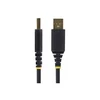 StarTech 1P6FFCN-USB-SERIAL lygiagretus kabelis Juodas 2 m USB Type-A DB-9