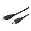 USB kabelis StarTech USB-C - miniUSB 2 m juodasis (USB2CMB2M)