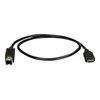 USB C - USB B laidas Startech USB2CB50CM 50 cm