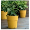 Stefanplast Flower pot with tray Ethica Ø15x15cm mustard yellow