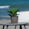 Stefanplast Flowerpot Liberty Ø25x23cm pilkas