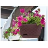 Stefanplast Hanging flower pot Natural Ø30x14.5cm dark ruda