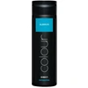 Subrina Professional Direct Colour Hair Colouring Gel Turquoise 200 ml