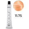 Subrina Professional, Highlift Colour, Permanent Hair Dye, 11/75 Skirtas šviesiems plaukams Special Chestnut Raudona, 100 ml
