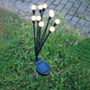 TelForceone SUNARI saulės lempa LED FLS-89 saulės ugniagesiai x10 3000K 600mAh Li-Ion Forever Light
