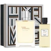 Hermes Terre d´Hermes Eau Intense Vétiver rinkinys vyrams (EDP, 100 ml + dušo želė, 80 ml)