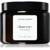 The Olphactory Forever Citrus & Shades Scented Candle, 360 g