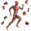 Toptel Kinesiology tape, 2,5 cm x 5 m red