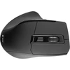 TRACER Cozy RF 2.4 GHz pelė