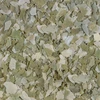 Sera Pond Flakes 10 l, dribsniai - maistas tvenkinio žuvims
