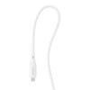USB-C prie žaibo kabelio Ricomm RLS007CLW 2.1 m