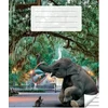 Victor Stationery Ou Sąsiuvinis linijomis, 36 lapai. Vidinių lapų gramatūra – 90 g/m2.