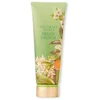Victoria Secrets Victoria´s Secret Melon Drench Losjonas kūnui kūno losjonas, 236 ml