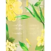 Victoria Secrets Victoria's Secret Victoria's Secret Wild Willow kvapusis vanduo, 250 ml
