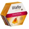 Vitaflor Bičių pienelis Energija 20 vnt. 200ml