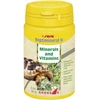 Sera Reptimineral H 100ml žolėdžių reptilijų vitaminai