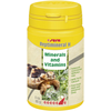 Sera Reptimineral H 100ml žolėdžių reptilijų vitaminai