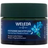 Weleda Mėlyna Gentian &amp; Edelweiss Contouring Night Kreminis Night Skin Kreminis
