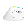 Belaidė vertikali pelė Delux M618C 2.4G 1600DPI RGB - balta