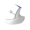 Belaidė vertikali pelė Delux M618C 2.4G 1600DPI RGB - balta