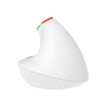 Belaidė vertikali pelė Delux M618C 2.4G 1600DPI RGB - balta