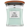 WoodWick Aromatinė žvakė (Magnolia Birch),  275 g