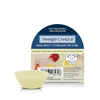 Yankee Candle Yankee žvakė su lediniu uogų limonadu, 22 g