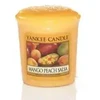 Yankee Candle Mango Peach Salsa Scented Candle kvapioji žvakė, 49 g