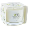 Yankee Candle Yankee žvakė „Midnight Jasmine“ 37 g