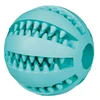 TRIXIE Denta Fun kamuolys, mėtinis, natūrali guma, ø 5 cm