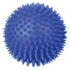 Trixie Žaislas Spuoguotas kamuolys vidutinis 10cm