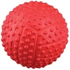 TRIXIE Sport kamuolys, natūrali guma, ø 5.5 cm