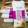 Smėlis vaikų smėliadėžėms, 100kg