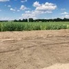 Tinklas nuo kurmių 55g/m2 16x16 mm, 1x50 m