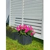 Vazonas "Antracitas" su vandens rezervuaru, 79 cm