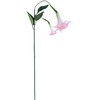 Dirbtinė šakelė GREENLAND H90cm angelo trimitas