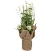 Home4You Dirbtinė gėlė GARDEN H35cm, baltas margainis, žolė su vazonu