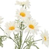Dirbtinė gėlė GARDEN H55,5cm, baltas margainis