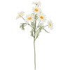 Dirbtinė gėlė GARDEN H55,5cm, baltas margainis