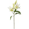 Home4You Dirbtinė gėlė GARDEN H75cm, balta lelija