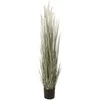 Home4You Dirbtinis augalas GREENLANDA H120cm vazone