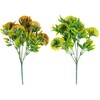 Dirbtinis augalas GREENLAND H31cm, mišinys