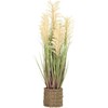 Home4You Dirbtinis augalas SODYBA H87cm, smėlio spalvos sorgas, žolė su vazonu