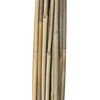 Home4You Bamboo Bambuko lazdos SODE H120cm 20vnt/komplektas D8/10mm